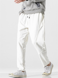 Men's Winter Thermal Plush Thickened Casual Trousers